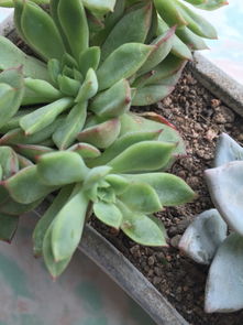 处理方法大揭秘