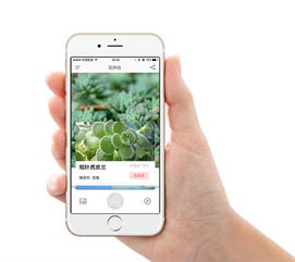 识别植物，就像玩游戏