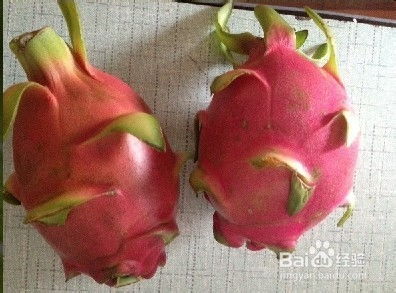 火龙果买回来如何保存才能延长新鲜期