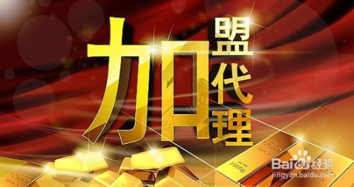 金浩茶油加盟：揭秘独家代理政策，引领茶叶市场新趋势！