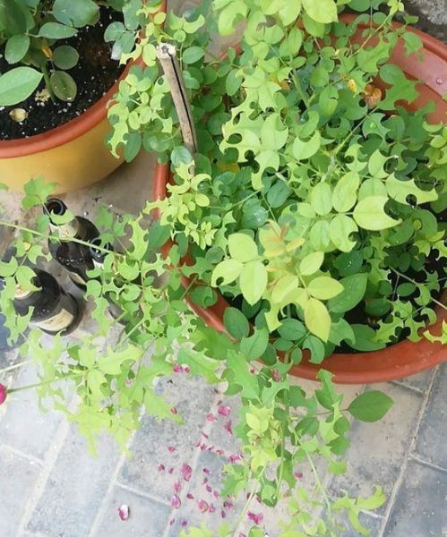 换个地方：让它们找不到目标