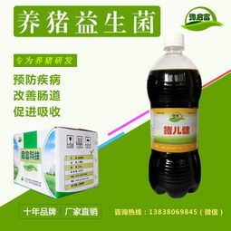 益生菌在生猪养殖中应用广泛，如何提高其效果