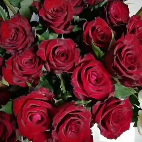 黑魔术， 那可是经典中的经典