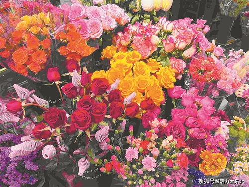 鲜切花在人们生活中的重要性体现在哪些方面