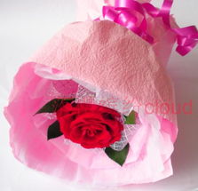 元旦节家居摆放适合的花卉有哪些