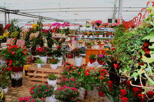 市场分布， 一目了然