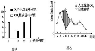 灌根频率的调整