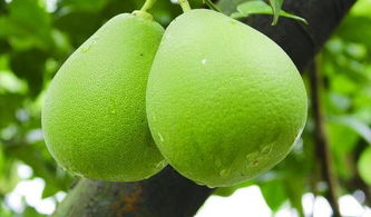 升温妙招大揭秘