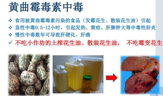 乙草胺与环境保护的关系
