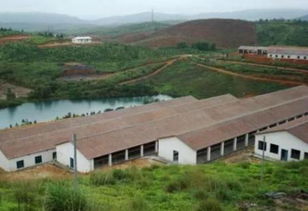 选址科学建猪舍，提升养殖效益