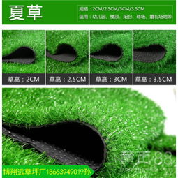 夏天草坪种什么草？揭秘绿意盎然的秘密！