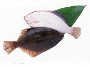 黑色的是什么海鱼，海鱼黑色的是什么鱼？