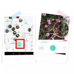 拍照识别， 随时随地学植物知识