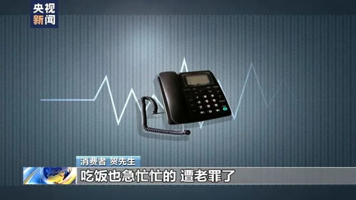 白面鸮价格揭秘：白面鸮多少钱一只