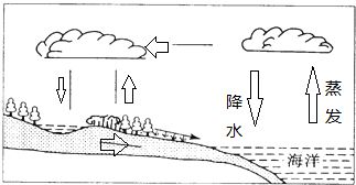 揭秘砂田对农业水循环的关键影响