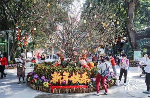 花卉节的亮点：花儿的世界， 美得不要不要的