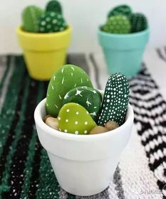 三、 种植步骤：一步步来不慌不忙