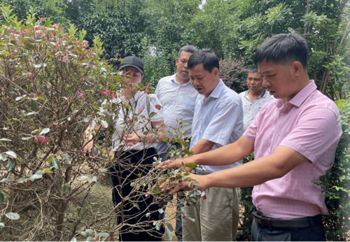 果树与花卉栽培专家：经济作物的守护者