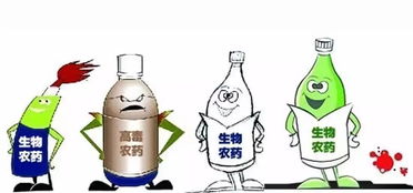 蝎子的养殖与生存环境