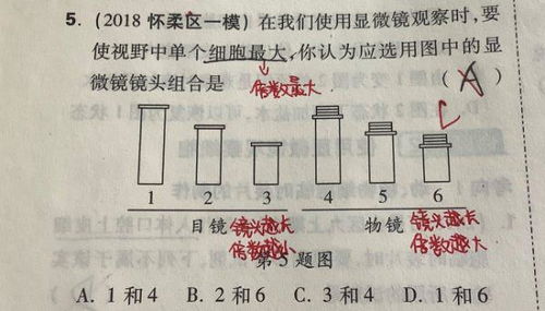 倍数与比重的关系