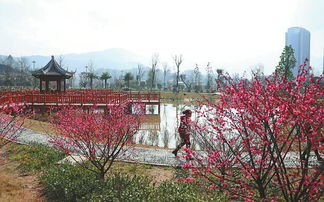 古林公园，绿树成荫，鸟语花香