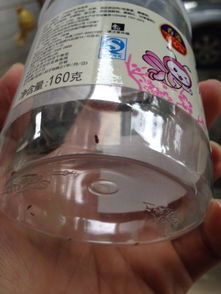 席子能喷杀虫剂吗？有席虫怎么办？有什么药水可以打席虫？