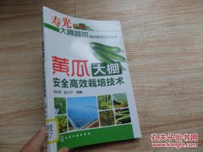 揭秘黄瓜种植：高效生长调节剂大揭秘！