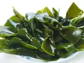 海菜种类繁多，你见过这种像羽毛的海菜吗