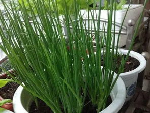 四、 常见误区，小心避开