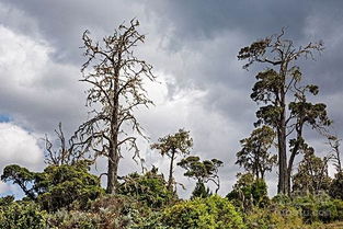 影响因素多，市场行情是关键