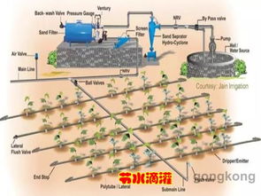 水循环：农业灌溉新选择，高效节水技术引领行业风潮
