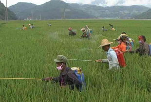 农药的神奇魔力