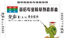 标题党时间：茄子辣椒除草剂，真的那么神奇吗？