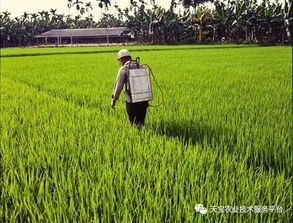 动态混配， 提高防治效果