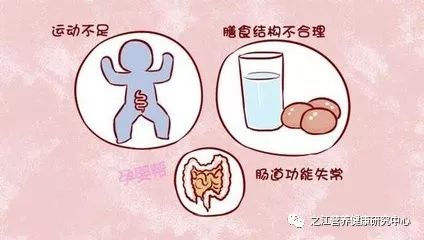 猪肠便秘：区分原发性与继发性，常见于小猪！