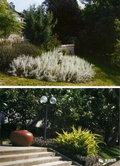 园林色彩搭配的艺术：如何让植物绽放和谐之美