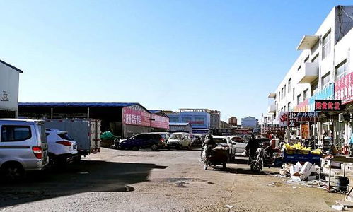 探寻附近的幼儿园：孩子的快乐港湾