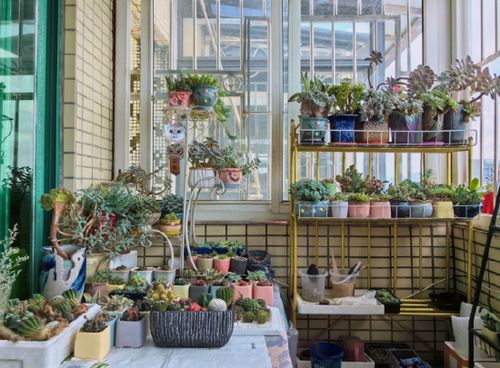 花店的审美与匠心