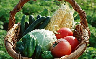 辣椒：红彤彤，火辣辣