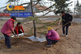 用地膜覆盖， 温暖又保湿