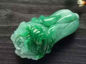 大白菜在传统文化中象征着什么其背后的文化内涵有哪些