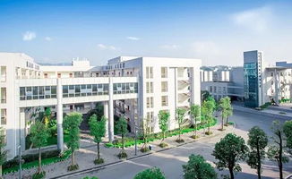 就业前景：前景如何