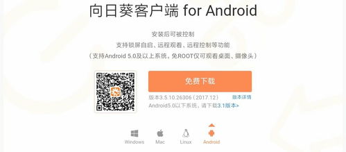 槟榔高效种植技术与管理策略：视频教程大揭秘