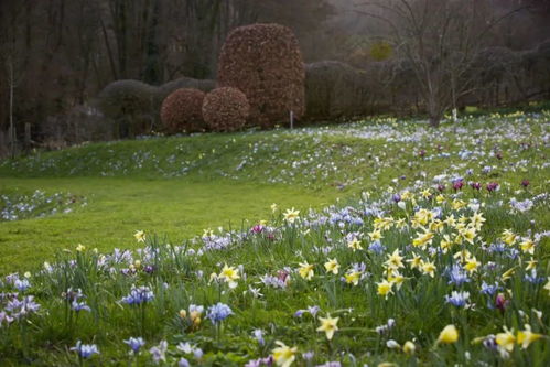 山东的气候与花圃选择