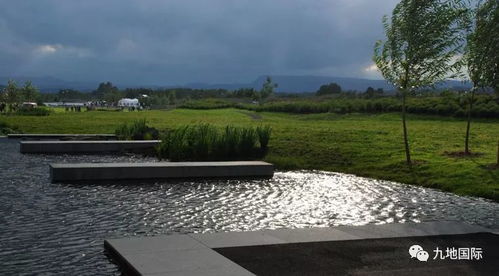 生态修复技术的小窍门