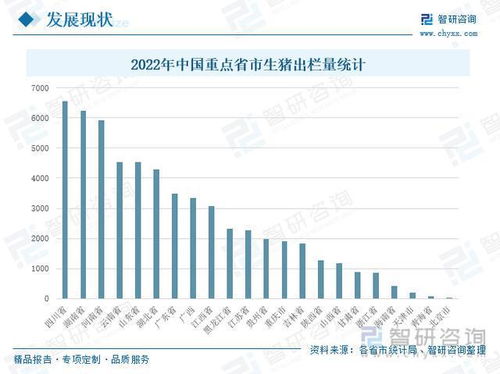 当前722地区生猪价格波动大，未来走势如何？深度解析与前景预测有哪些关键点？