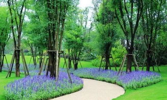 一、调和：让植物们和谐相处