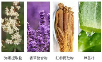 草甘膦伤树根的烦恼