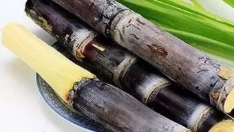 新型除草剂， 助力甘蔗产业发展