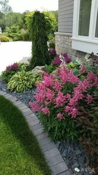 大树底下的秘密花园：种什么植物蕞合适？